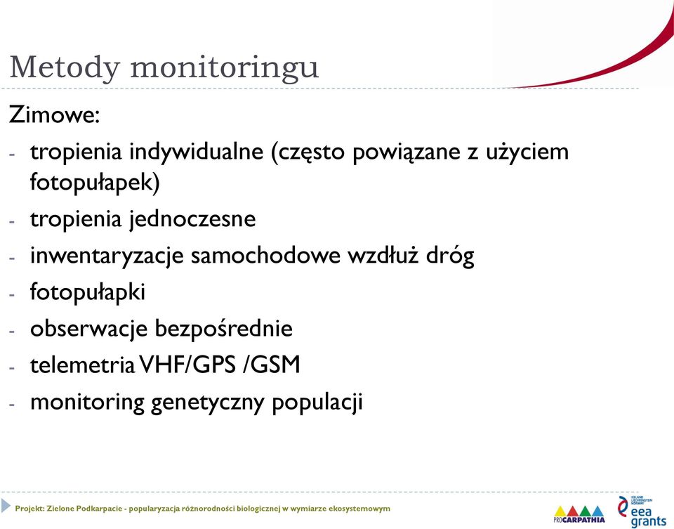 inwentaryzacje samochodowe wzdłuż dróg - fotopułapki -