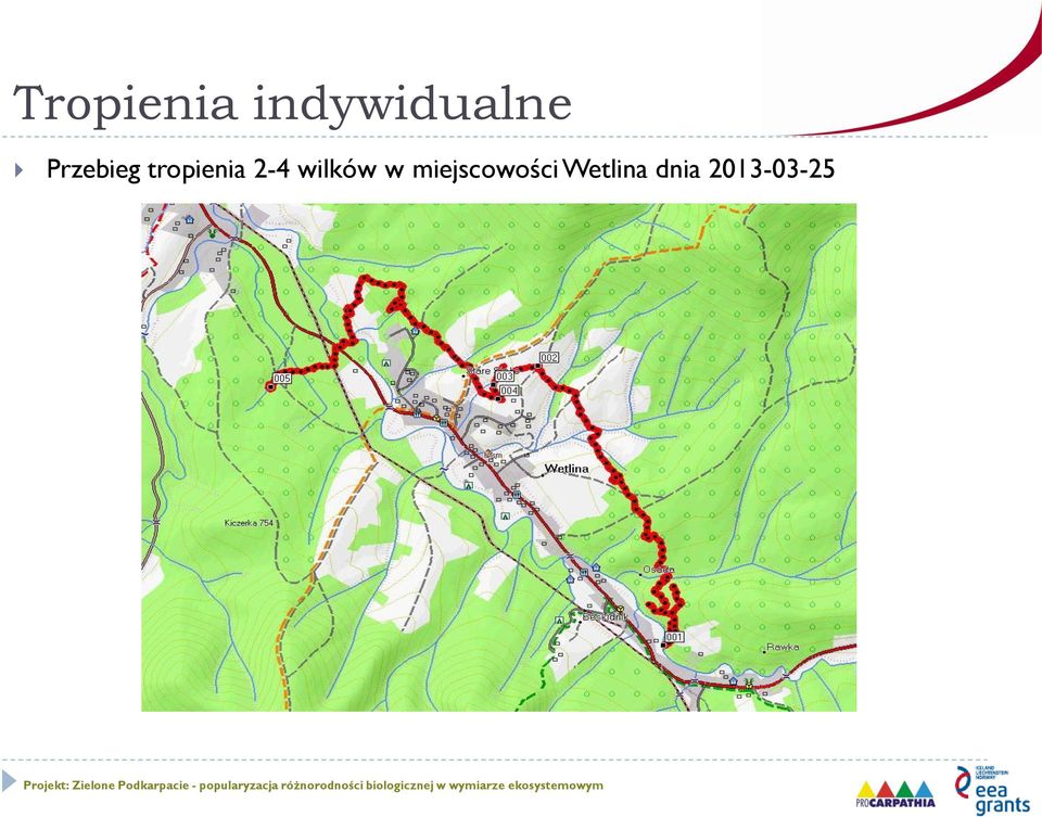 wilków w miejscowości