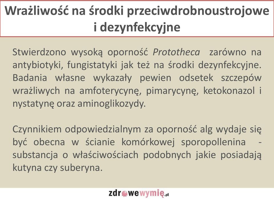 Badania własne wykazały pewien odsetek szczepów wrażliwych na amfoterycynę, pimarycynę, ketokonazol i nystatynę oraz