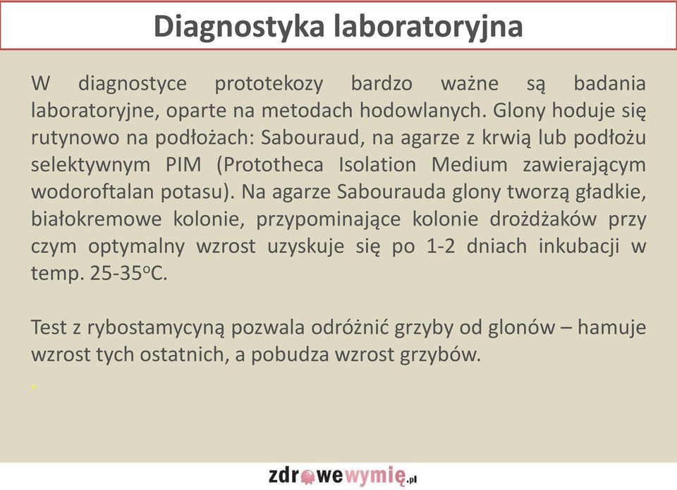 wodoroftalan potasu).