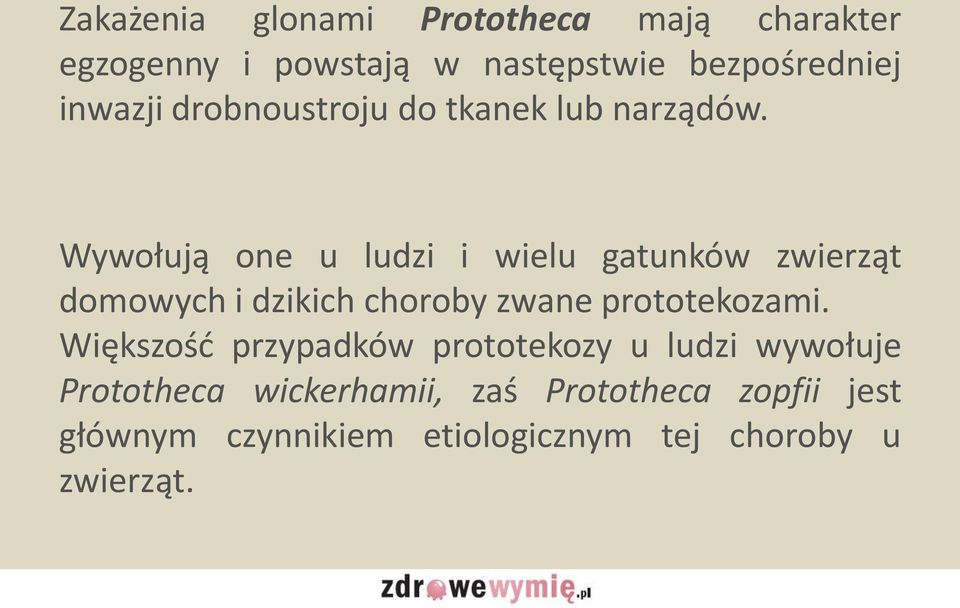 Wywołują one u ludzi i wielu gatunków zwierząt domowych i dzikich choroby zwane prototekozami.