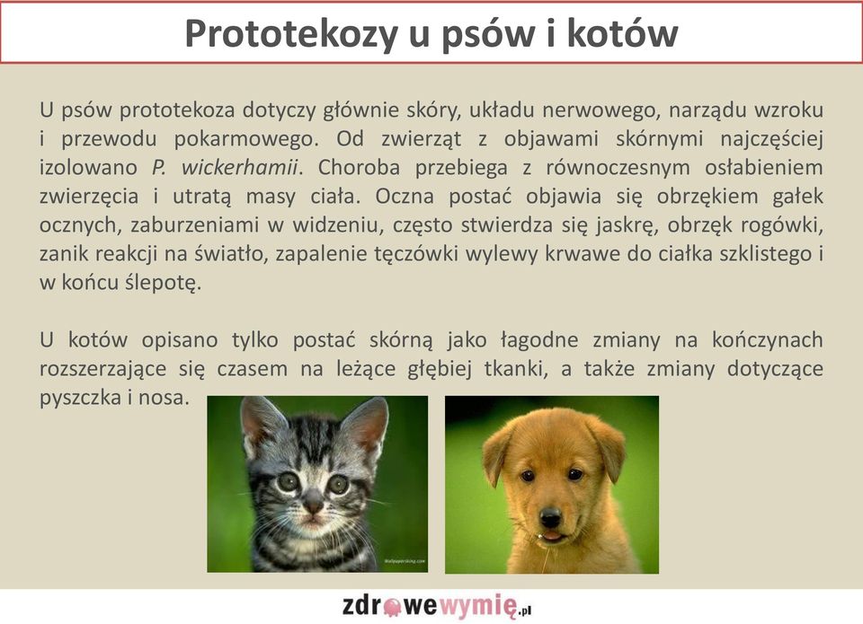 Oczna postać objawia się obrzękiem gałek ocznych, zaburzeniami w widzeniu, często stwierdza się jaskrę, obrzęk rogówki, zanik reakcji na światło, zapalenie