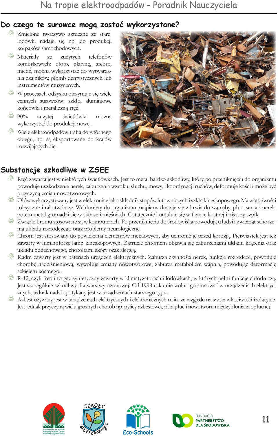 W procesach odzysku otrzymuje się wiele cennych surowców: szkło, aluminiowe końcówki i metaliczną rtęć. 90% zużytej świetlówki można wykorzystać do produkcji nowej.