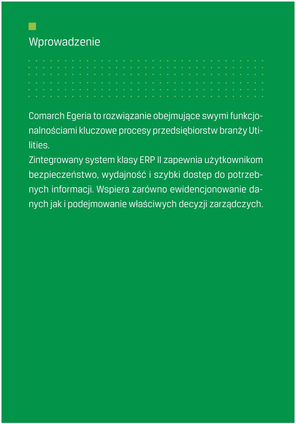 Zintegrowany system klasy ERP II zapewnia użytkownikom bezpieczeństwo, wydajność i