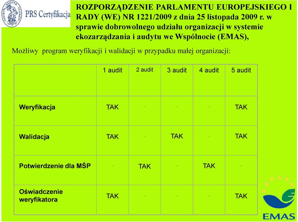 program weryfikacji i walidacji w przypadku małej organizacji: 1 audit 2 audit 3 audit 4 audit 5 audit