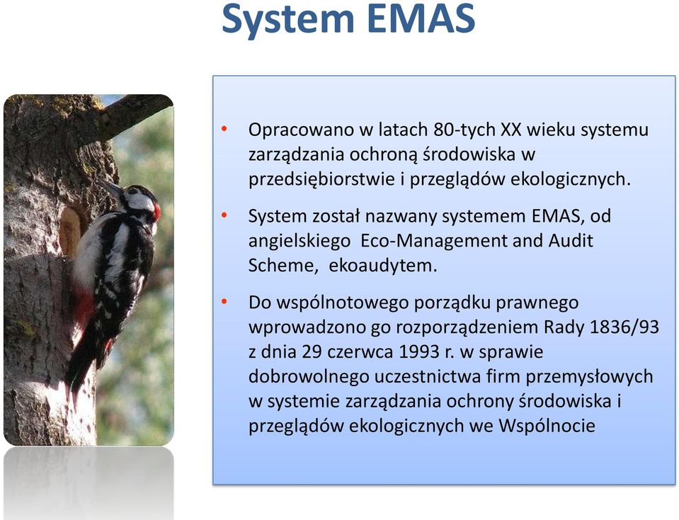 System został nazwany systemem EMAS, od angielskiego Eco-Management and Audit Scheme, ekoaudytem.