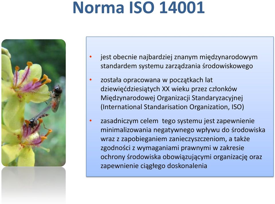 Organization, ISO) zasadniczym celem tego systemu jest zapewnienie minimalizowania negatywnego wpływu do środowiska wraz z zapobieganiem