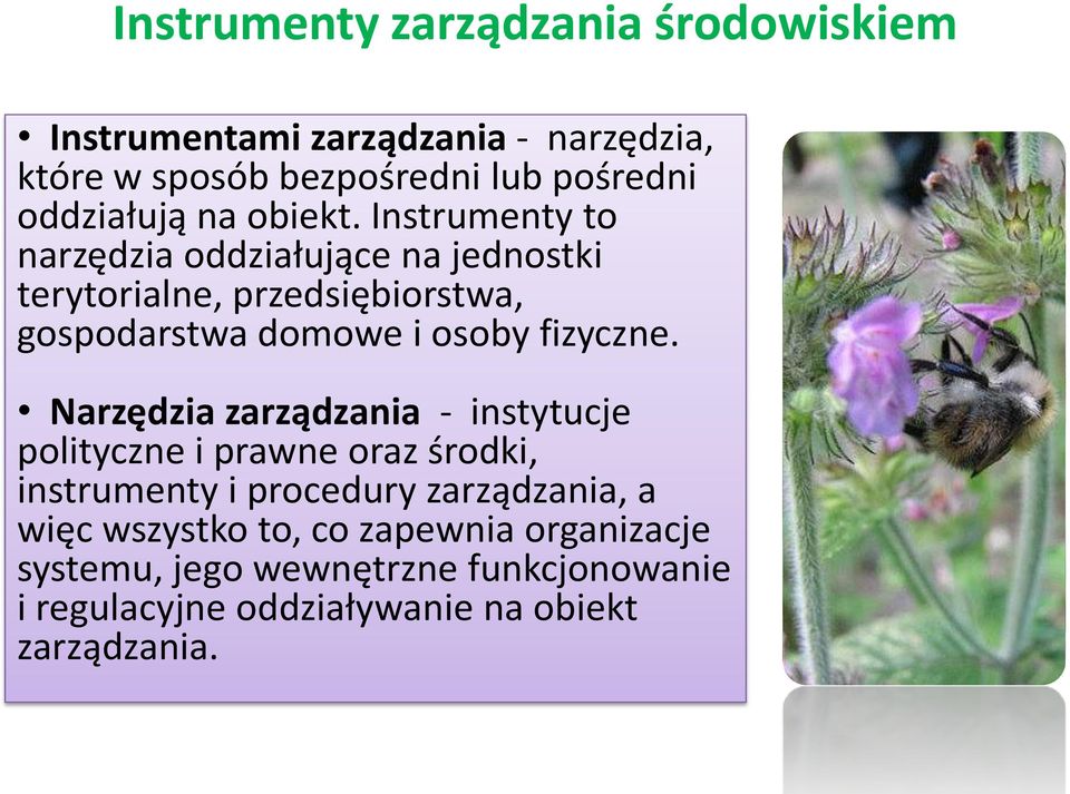 Instrumenty to narzędzia oddziałujące na jednostki terytorialne, przedsiębiorstwa, gospodarstwa domowe i osoby fizyczne.