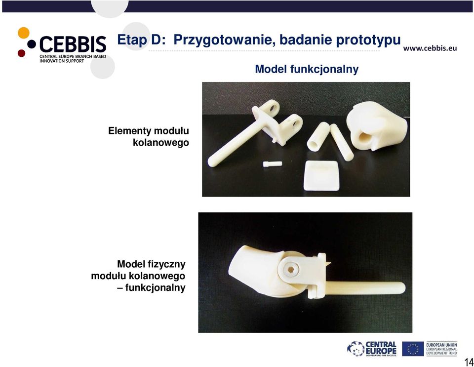 Elementy modułu kolanowego Model