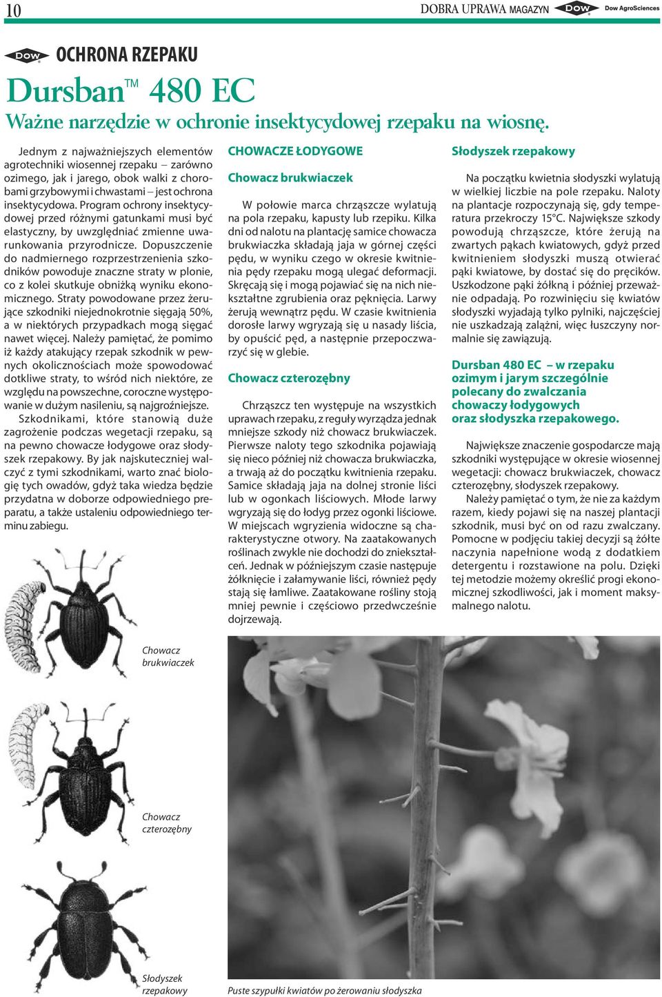 Program ochrony insektycydowej przed różnymi gatunkami musi być elastyczny, by uwzględniać zmienne uwarunkowania przyrodnicze.