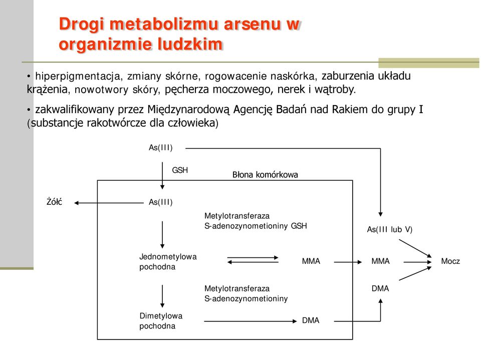 zakwalifikowany przez Międzynarodową Agencję Badań nad Rakiem do grupy I (substancje rakotwórcze dla człowieka) As(III) GSH