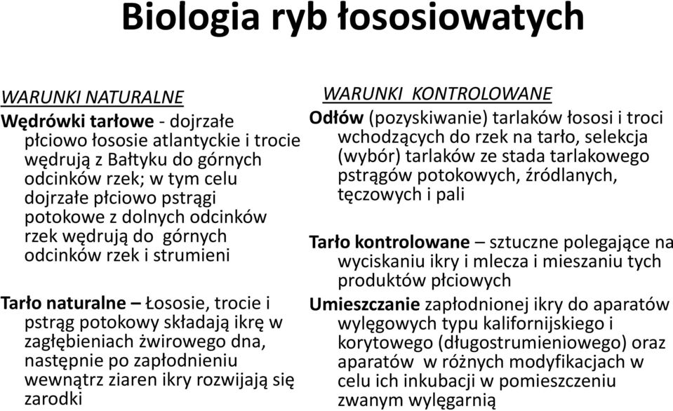 wewnątrz ziaren ikry rozwijają się zarodki WARUNKI KONTROLOWANE Odłów (pozyskiwanie) tarlaków łososi i troci wchodzących do rzek na tarło, selekcja (wybór) tarlaków ze stada tarlakowego pstrągów