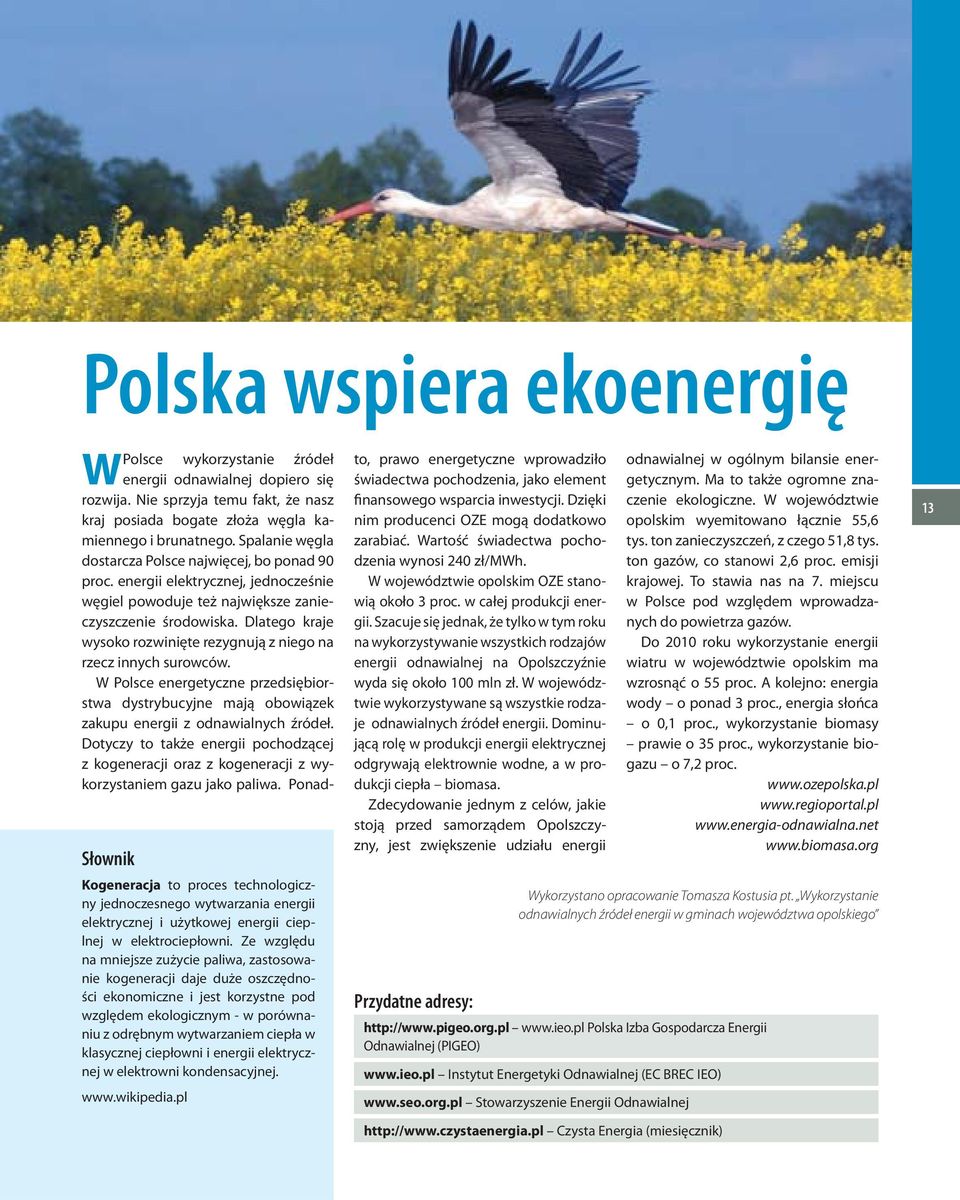 Dlatego kraje wysoko rozwinięte rezygnują z niego na rzecz innych surowców. W Polsce energetyczne przedsiębiorstwa dystrybucyjne mają obowiązek zakupu energii z odnawialnych źródeł.