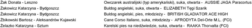 Buldog angielski, suka, otwarta - ELIZABETH Tęgi Szarik Buldog angielski, pies, młodzieży - BRITISH GLADIATOR ACE HIGH