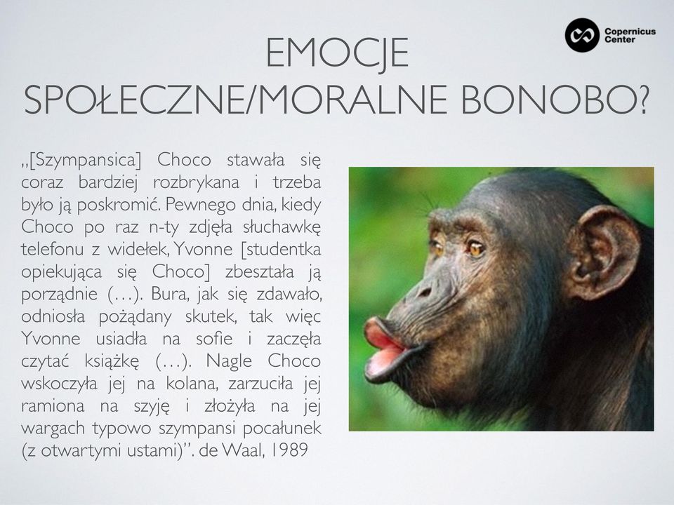 porządnie ( ). Bura, jak się zdawało, odniosła pożądany skutek, tak więc Yvonne usiadła na sofie i zaczęła czytać książkę ( ).
