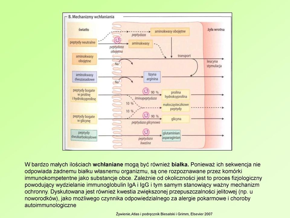 Zależnie od okoliczności jest to proces fizjologiczny powodujący wydzielanie immunoglobulin IgA i IgG i tym samym stanowiący ważny mechanizm ochronny.