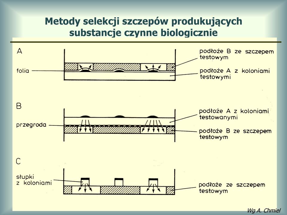 produkujących