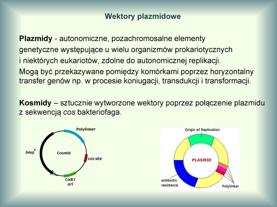 Mogą być przekazywane pomiędzy komórkami poprzez horyzontalny transfer genów np.