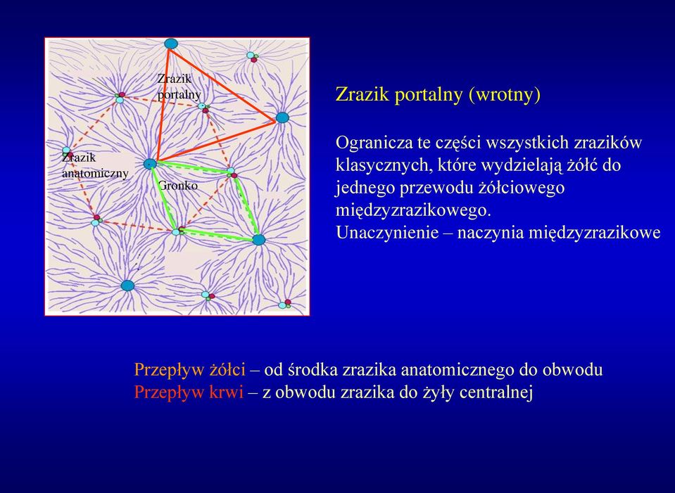 żółciowego międzyzrazikowego.