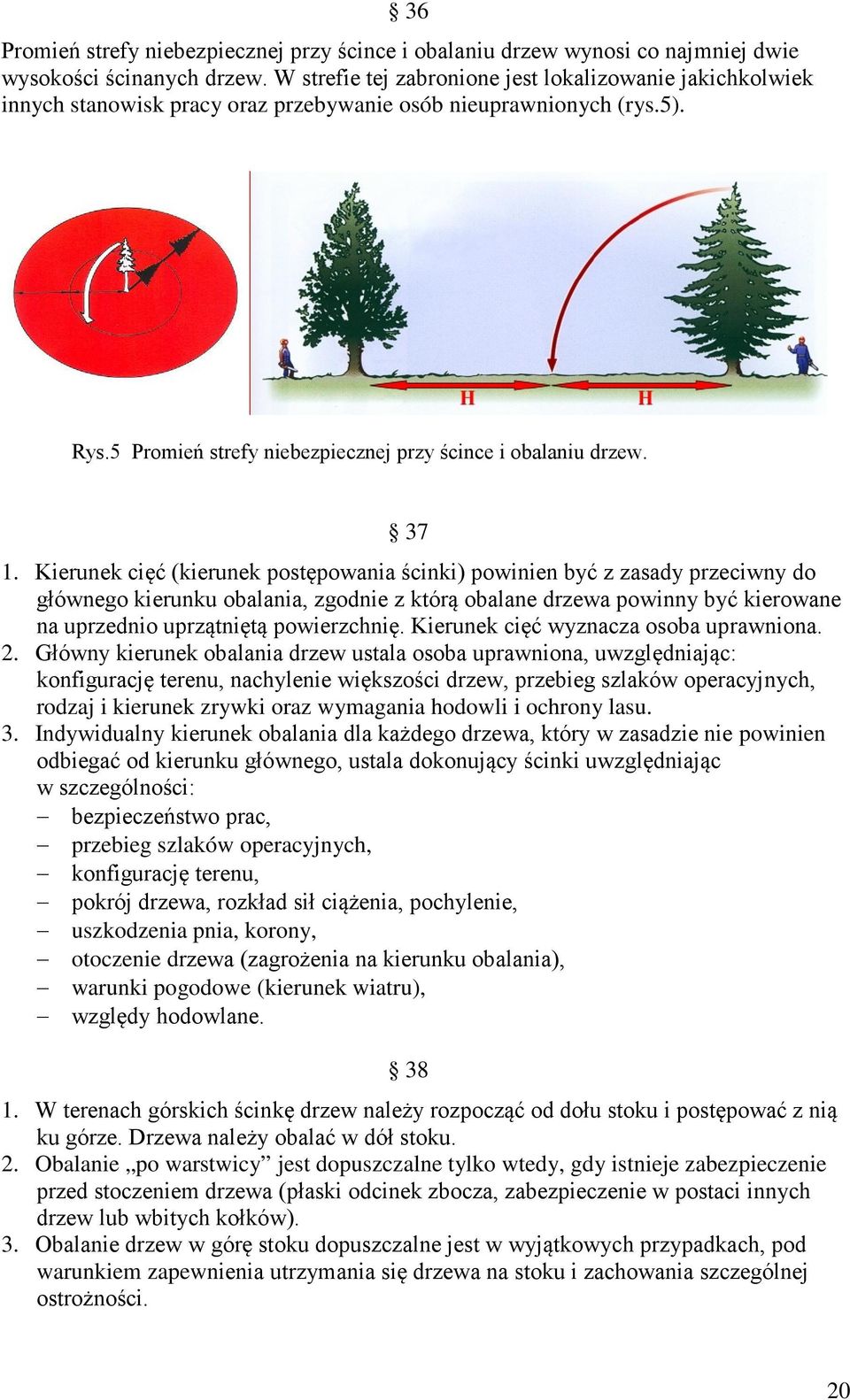 Kierunek cięć (kierunek postępowania ścinki) powinien być z zasady przeciwny do głównego kierunku obalania, zgodnie z którą obalane drzewa powinny być kierowane na uprzednio uprzątniętą powierzchnię.