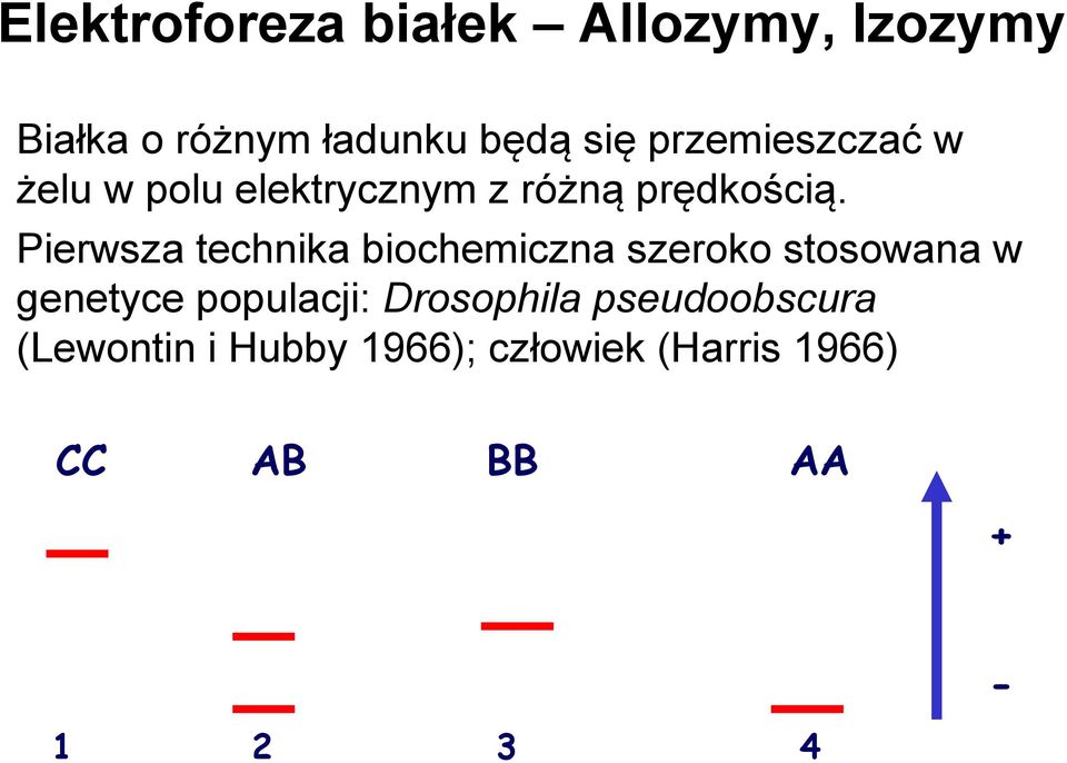 Pierwsza technika biochemiczna szeroko stosowana w genetyce populacji: