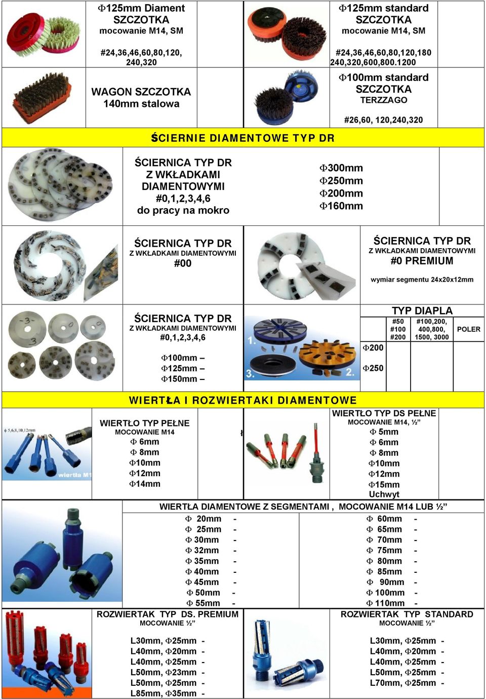 DIAMENTOWYMI #00 ŚCIERNICA TYP DR Z WKŁADKAMI DIAMENTOWYMI #0 PREMIUM wymiar segmentu 24x20x12mm ŚCIERNICA TYP DR Z WKŁADKAMI DIAMENTOWYMI #0,1,2,3,4,6 F100mm F125mm F150mm F200 F250 TYP DIAPLA #50