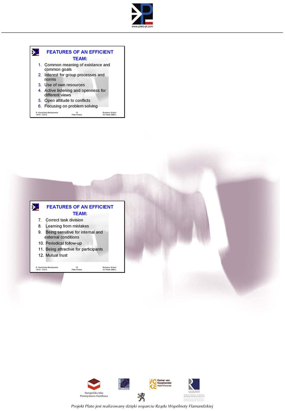 Focusing on problem solving 15 Business School for Polish SME s FEATURES OF AN EFFICIENT TEAM: 7. Correct task division 8.