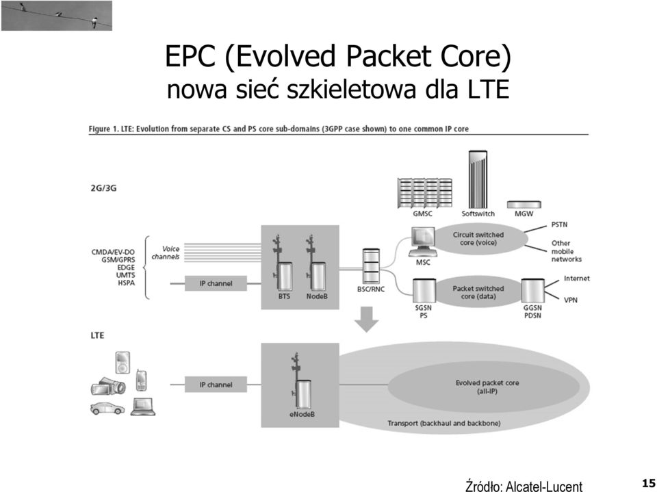 szkieletowa dla LTE