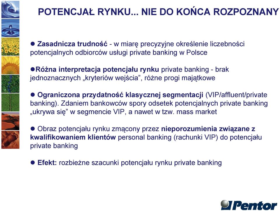 potencjału rynku private banking - brak jednoznacznych kryteriów wejścia, różne progi majątkowe Ograniczona przydatność klasycznej segmentacji (VIP/affluent/private