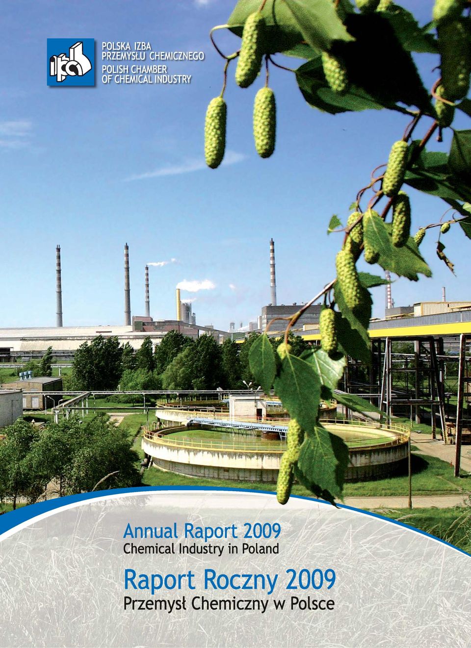 Raport 2009 Chemical Industry in Poland