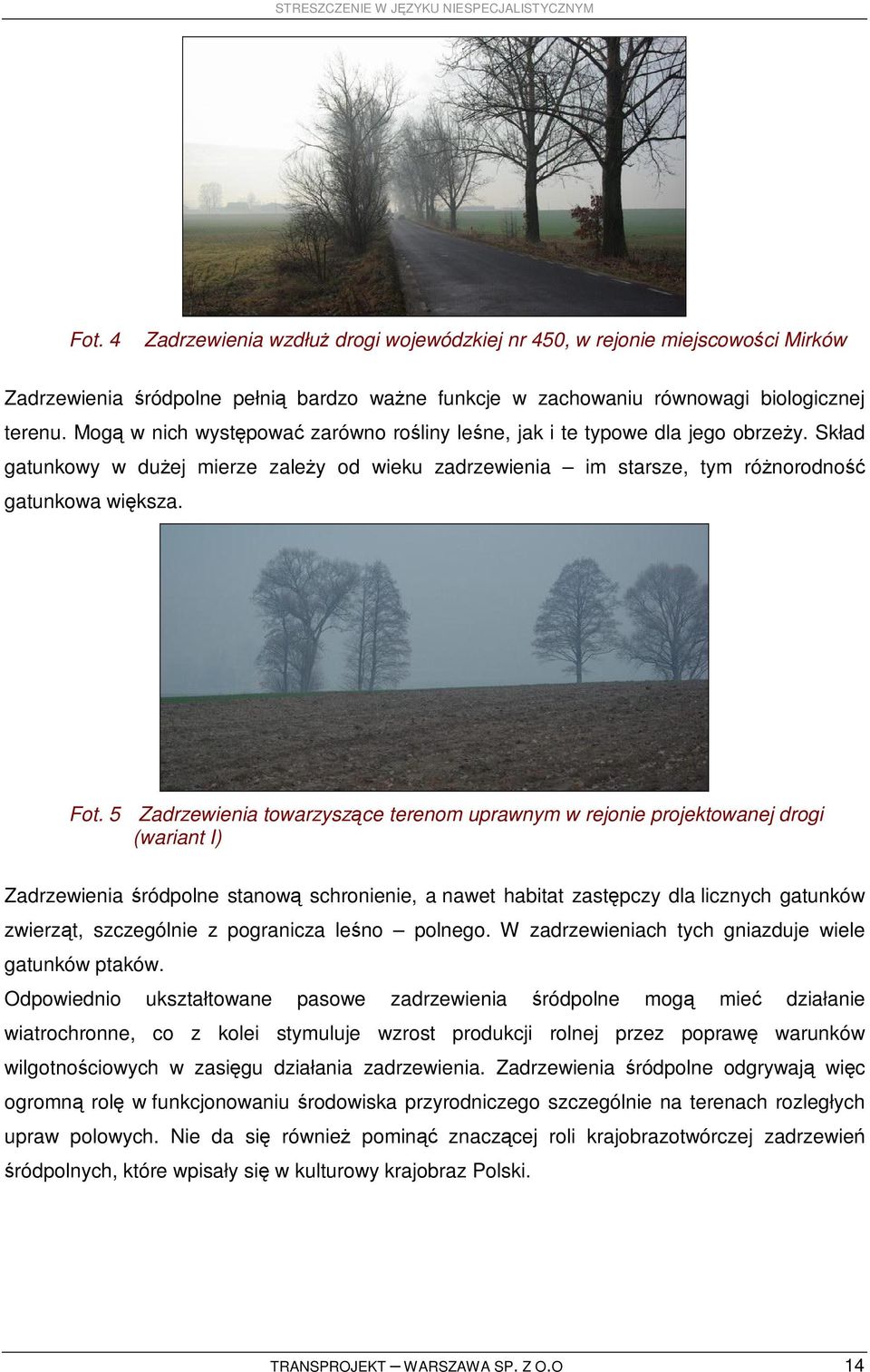 5 Zadrzewienia towarzyszące terenom uprawnym w rejonie projektowanej drogi (wariant I) Zadrzewienia śródpolne stanową schronienie, a nawet habitat zastępczy dla licznych gatunków zwierząt,