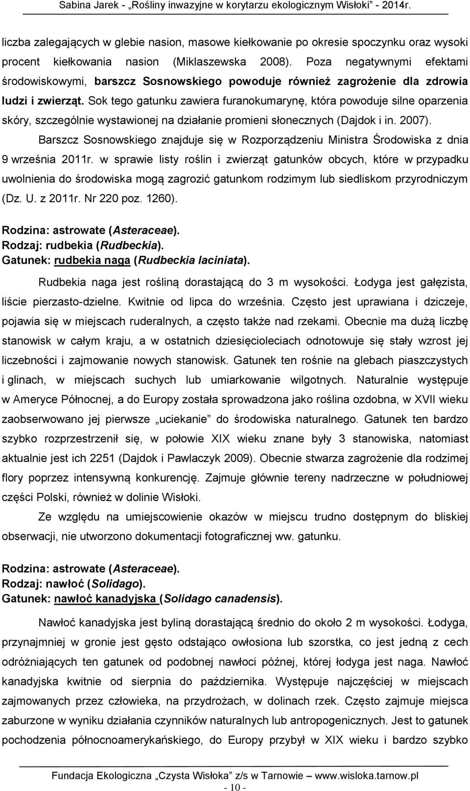 Sok tego gatunku zawiera furanokumarynę, która powoduje silne oparzenia skóry, szczególnie wystawionej na działanie promieni słonecznych (Dajdok i in. 2007).