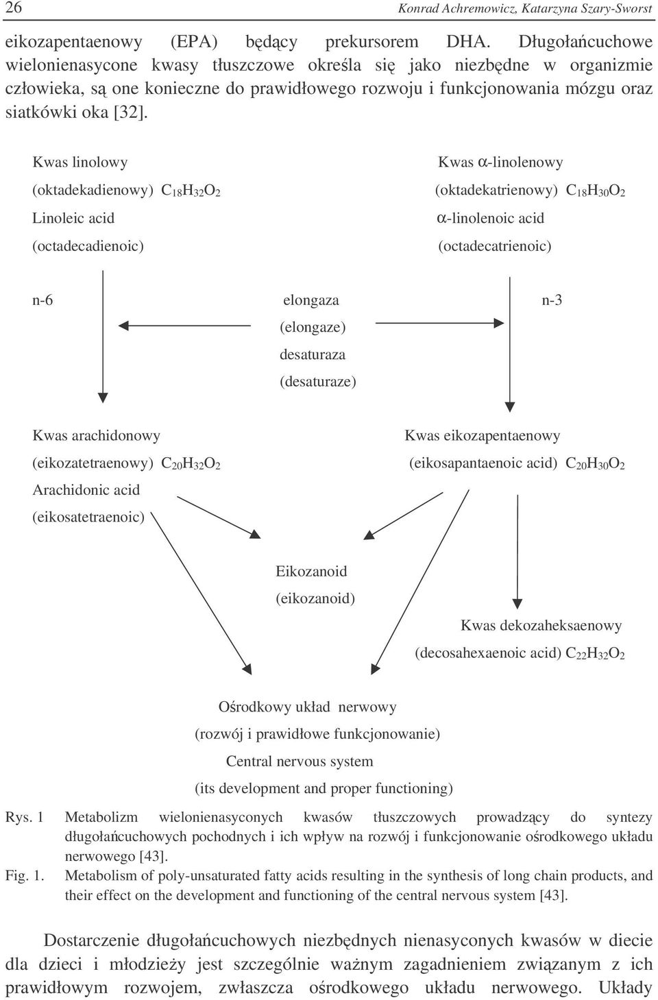 Kwas linolowy Kwas α-linolenowy (oktadekadienowy) C 18 H 32 O 2 (oktadekatrienowy) C 18 H 30 O 2 Linoleic acid α-linolenoic acid (octadecadienoic) (octadecatrienoic) n-6 elongaza n-3 (elongaze)