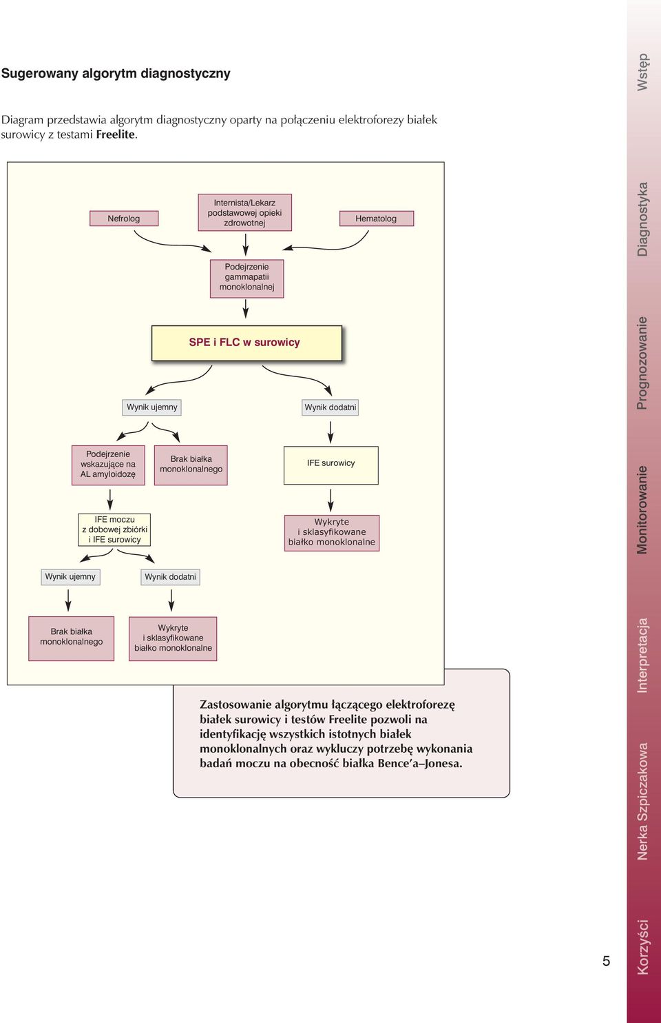 Podejrzenie gammapatii monoklonalnej SPE i FLC w surowicy Brak białka monoklonalnego Wynik dodatni Wykryte i sklasyfikowane białko monoklonalne Wynik dodatni IFE surowicy Hematolog Wykryte i