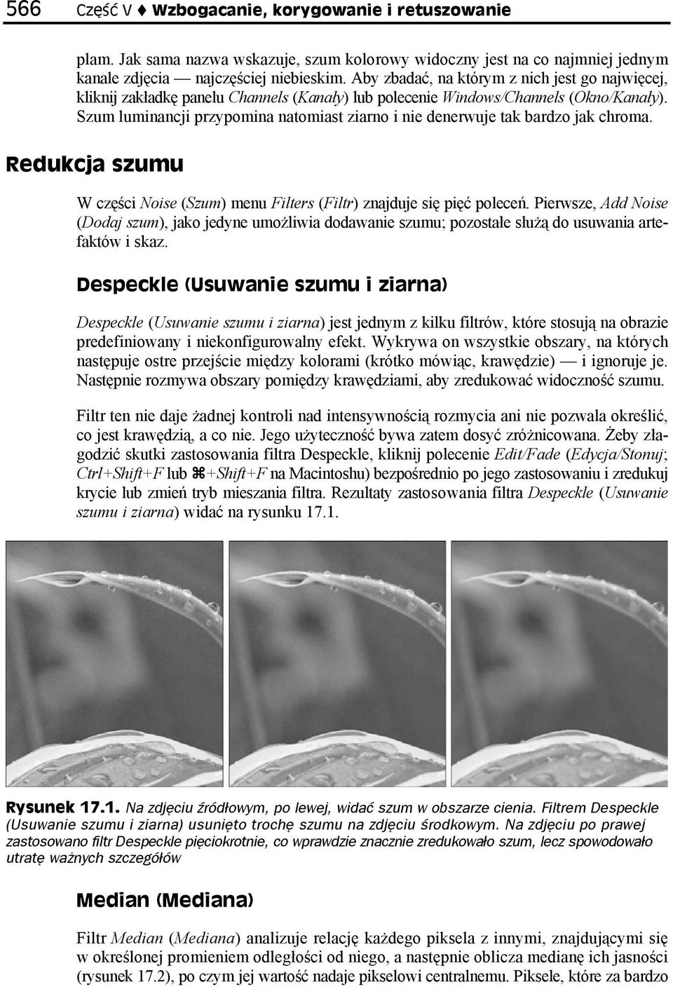 Szum luminancji przypomina natomiast ziarno i nie denerwuje tak bardzo jak chroma. Redukcja szumu W części Noise (Szum) menu Filters (Filtr) znajduje się pięć poleceń.