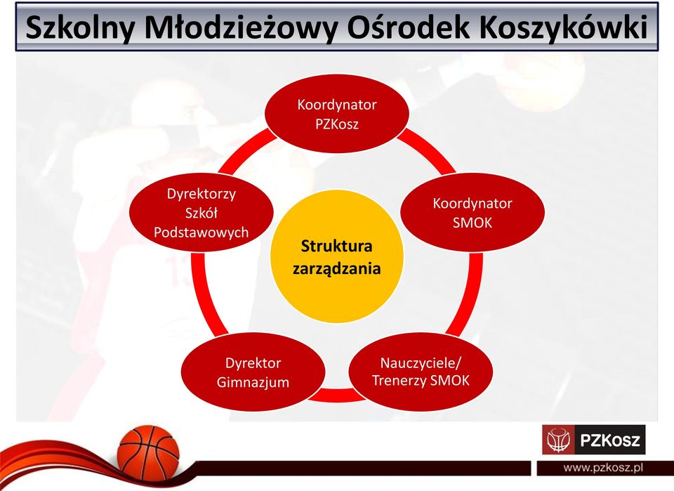 Podstawowych Struktura zarządzania