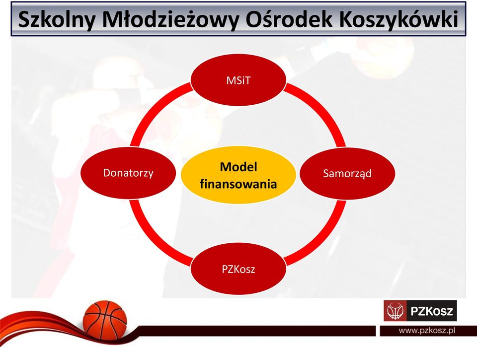 MSiT Donatorzy Model