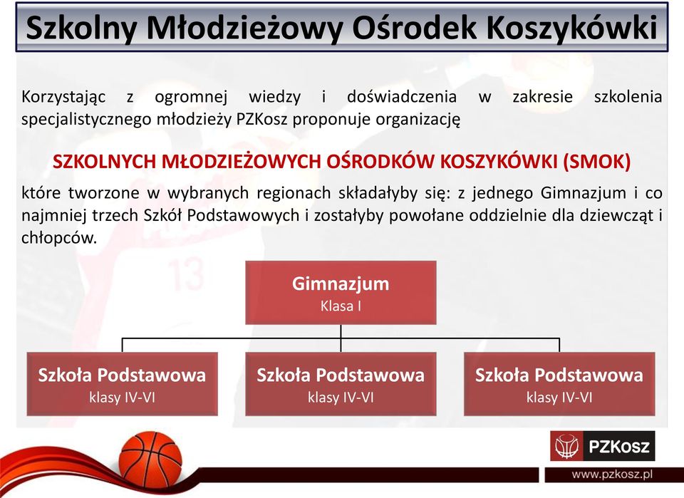 w wybranych regionach składałyby się: z jednego Gimnazjum i co najmniej trzech Szkół Podstawowych i zostałyby powołane