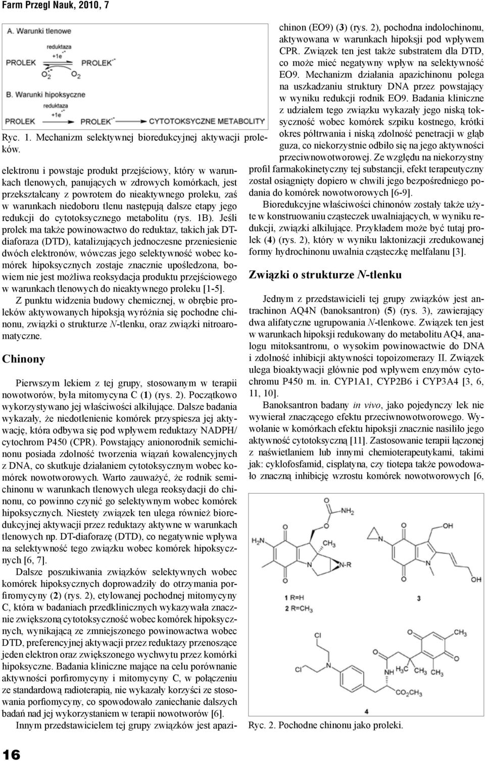 następują dalsze etapy jego redukcji do cytotoksycznego metabolitu (rys. 1B).