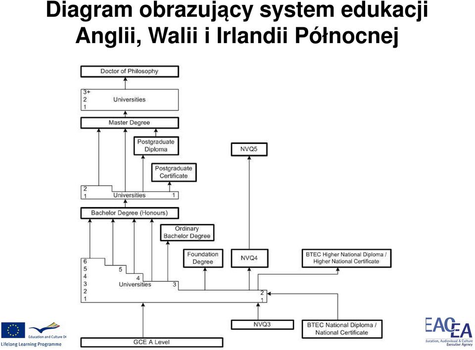 edukacji Anglii,