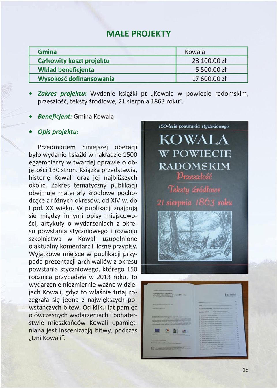Książka przedstawia, historię Kowali oraz jej najbliższych okolic. Zakres tematyczny publikacji obejmuje materiały źródłowe pochodzące z różnych okresów, od XIV w. do I poł. XX wieku.