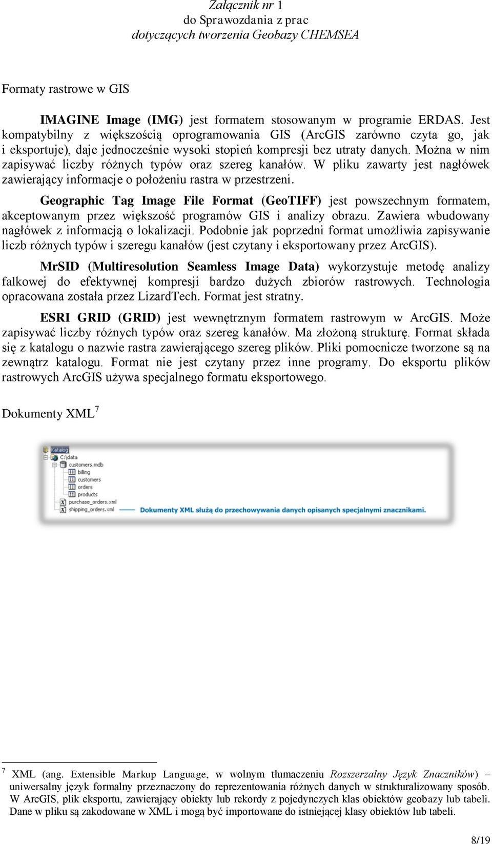 Można w nim zapisywać liczby różnych typów oraz szereg kanałów. W pliku zawarty jest nagłówek zawierający informacje o położeniu rastra w przestrzeni.