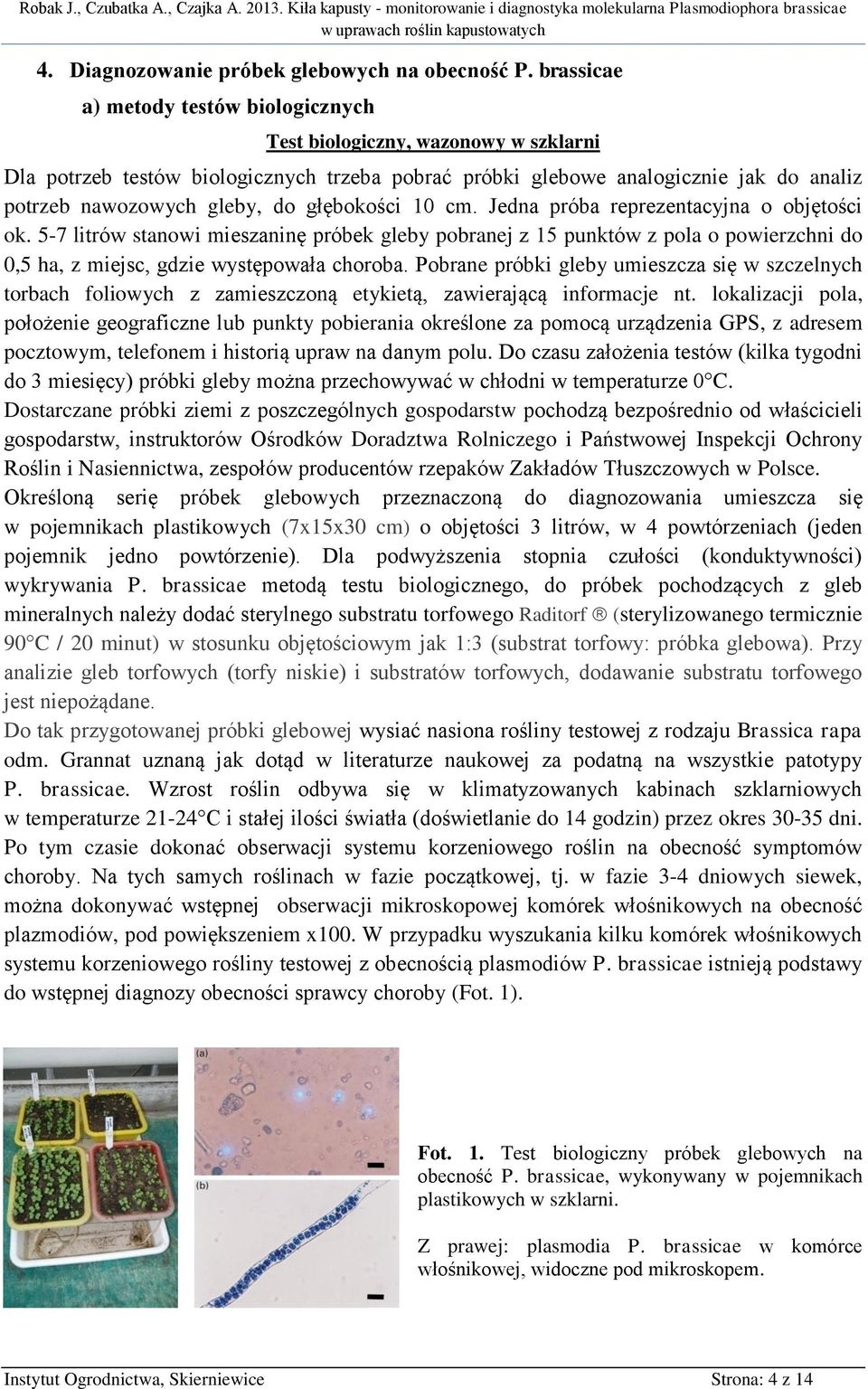 głębokości 10 cm. Jedna próba reprezentacyjna o objętości ok. 57 litrów stanowi mieszaninę próbek gleby pobranej z 15 punktów z pola o powierzchni do 0,5 ha, z miejsc, gdzie występowała choroba.