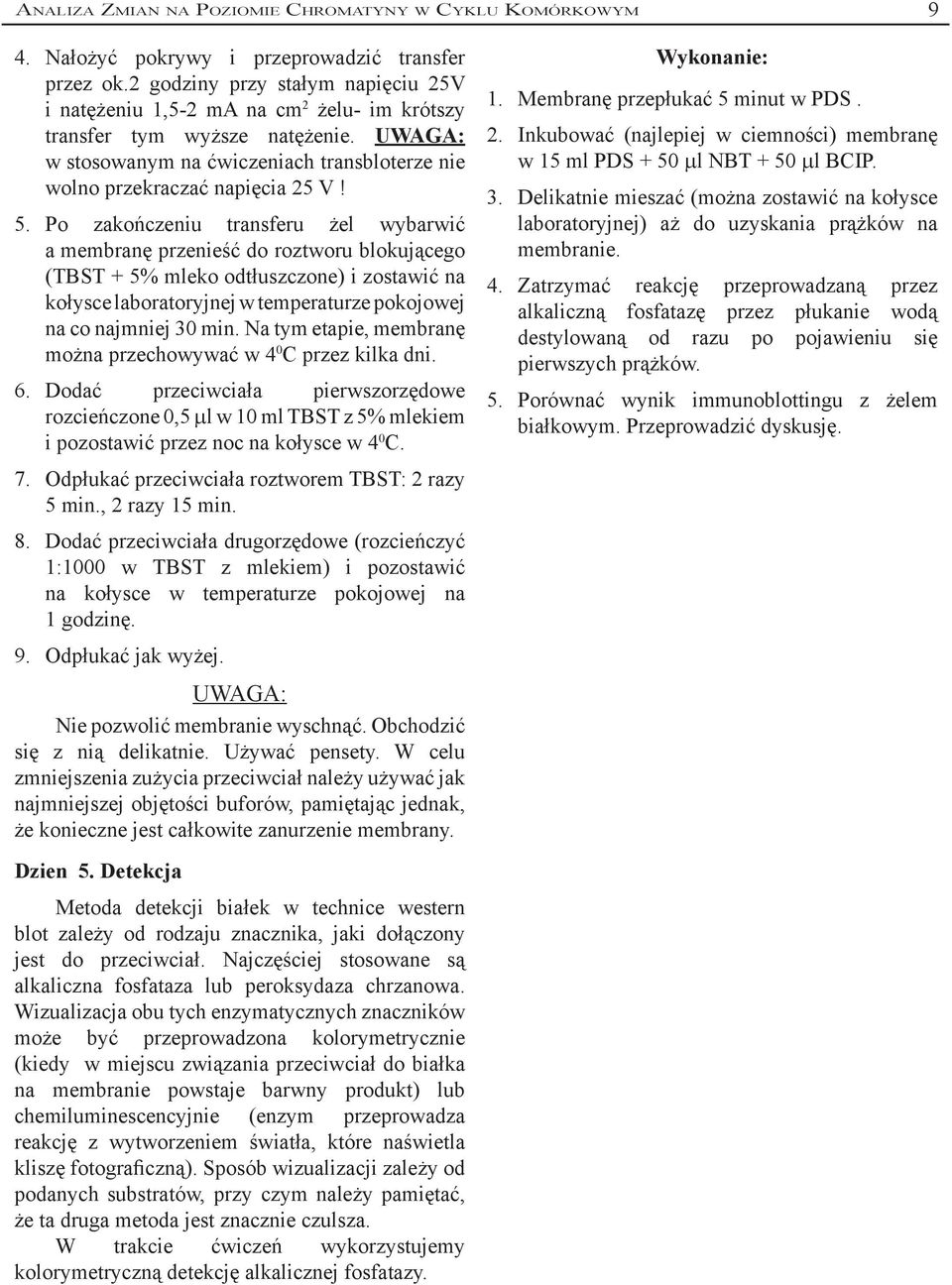 Po zakończeniu transferu żel wybarwić a membranę przenieść do roztworu blokującego (TBST + 5% mleko odtłuszczone) i zostawić na kołysce laboratoryjnej w temperaturze pokojowej na co najmniej 30 min.