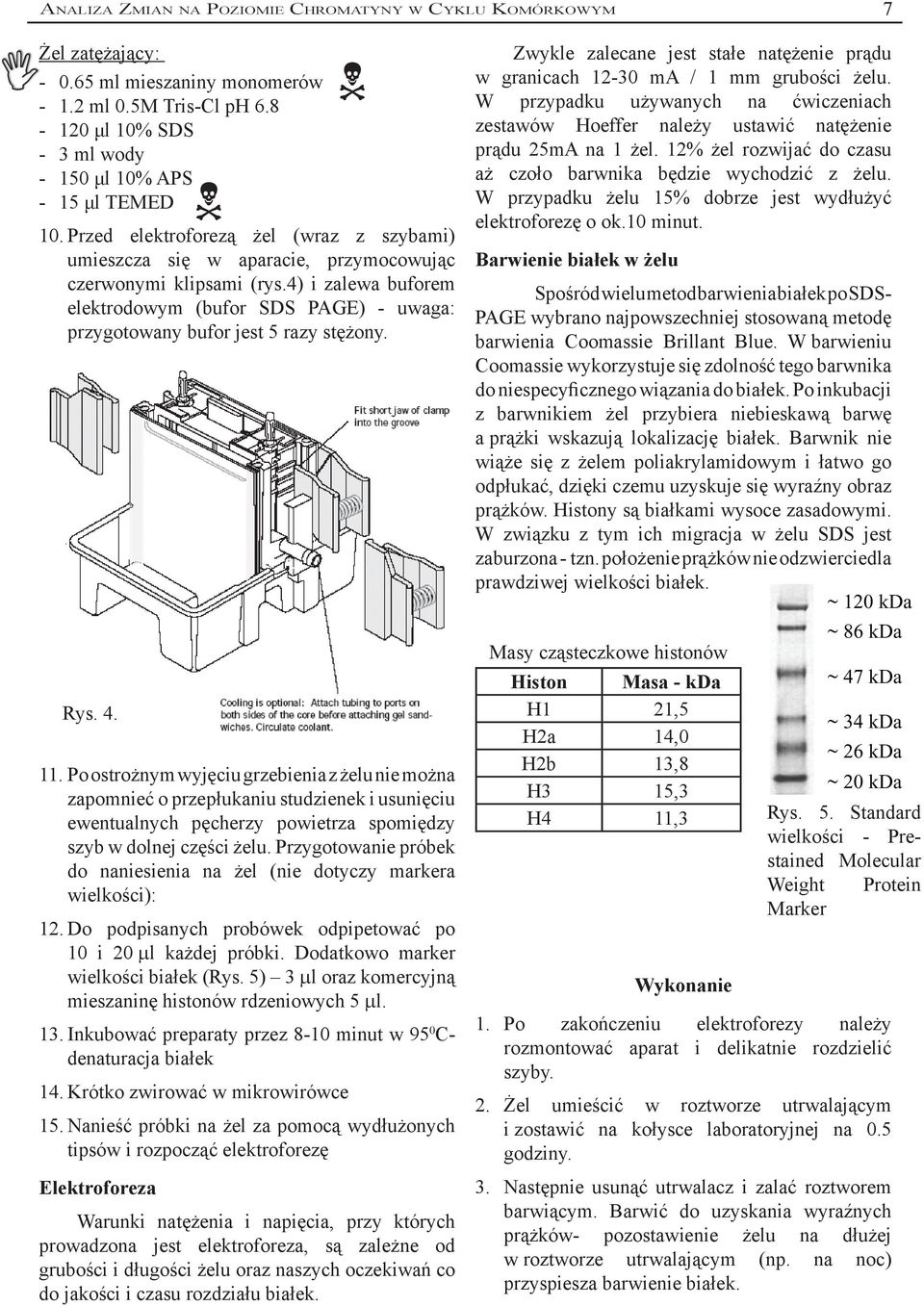 4) i zalewa buforem elektrodowym (bufor SDS PAGE) - uwaga: przygotowany bufor jest razy stężony. Rys. 4. 11.