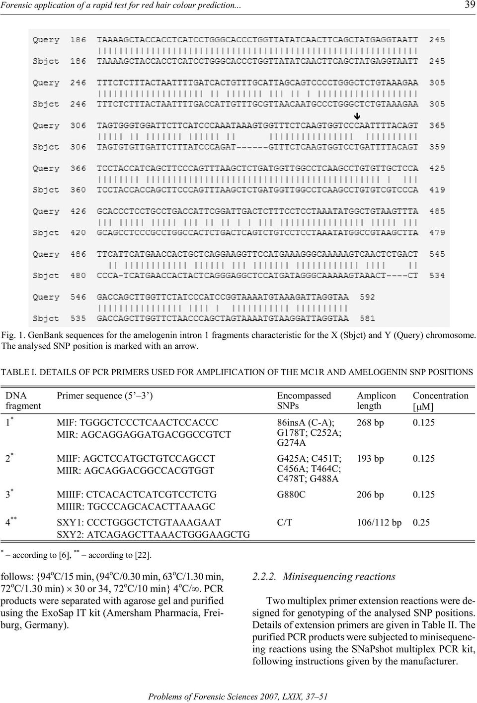 DETAILS OF PCR PRIMERS USED FOR AMPLIFICATION OF THE MC1R AND AMELOGENIN SNP POSITIONS DNA frag ment Primer se quence (5 3 ) 1 * MIF: TGGGCTCCCTCAACTCCACCC MIR: AGCAGGAGGATGACGGCCGTCT 2 * MIIF: