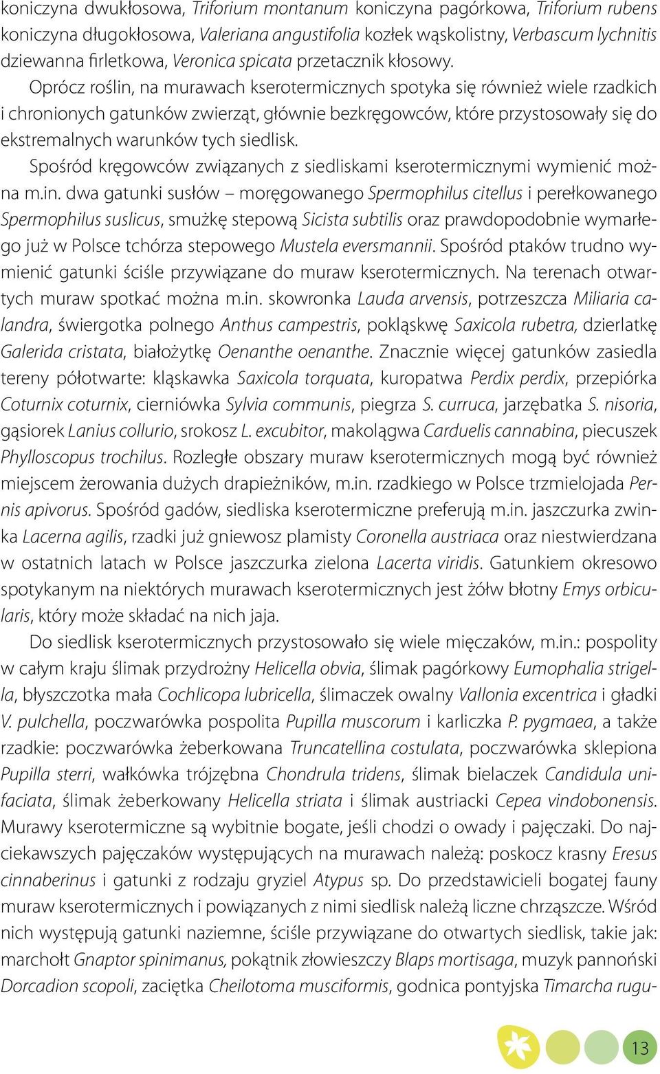 Oprócz roślin, na murawach kserotermicznych spotyka się również wiele rzadkich i chronionych gatunków zwierząt, głównie bezkręgowców, które przystosowały się do ekstremalnych warunków tych siedlisk.