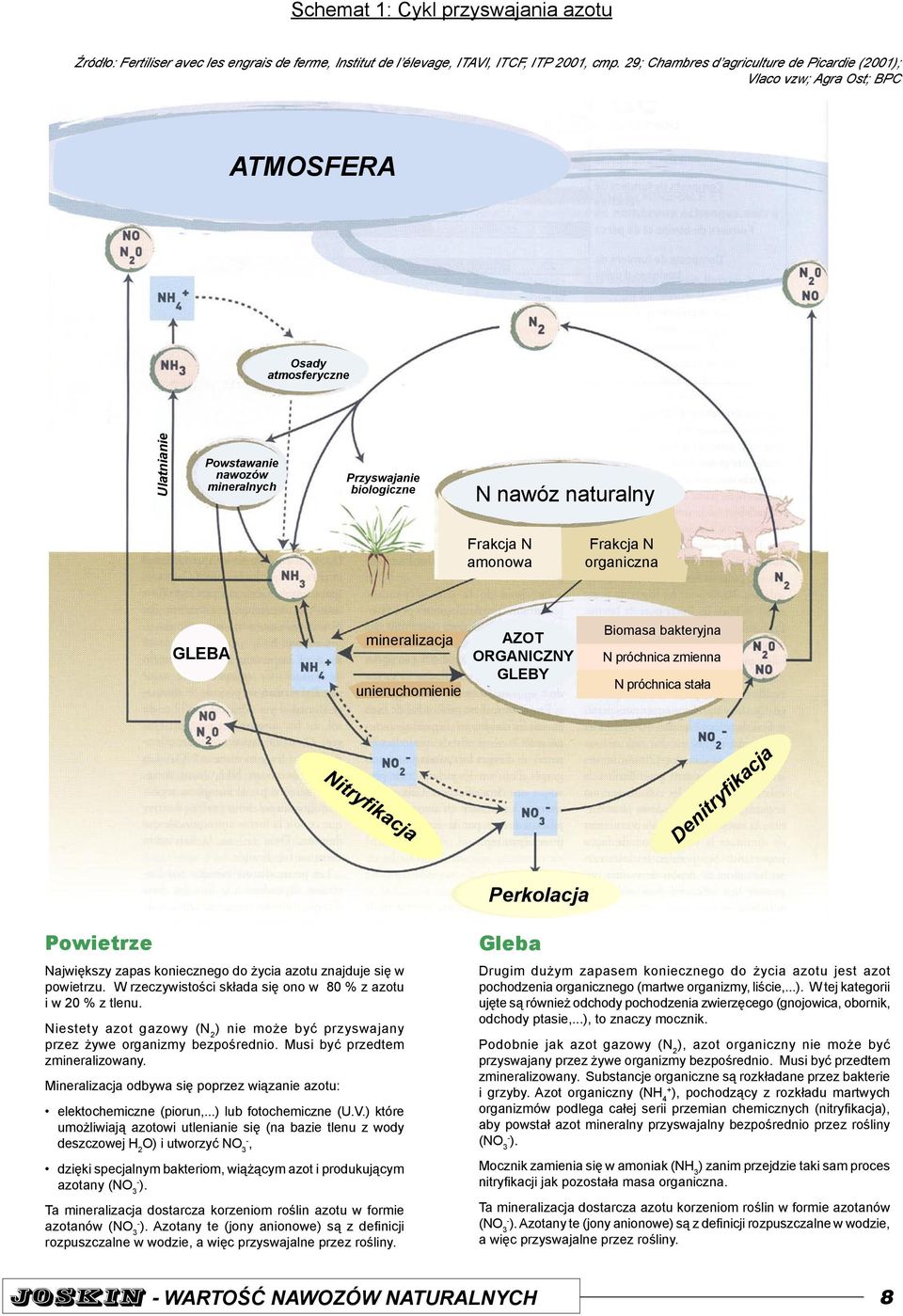 amonowa Frakcja N organiczna GLEBA mineralizacja unieruchomienie AZOT ORGANICZNY GLEBY Biomasa bakteryjna N próchnica zmienna N próchnica stała Nitryfikacja Denitryfikacja Perkolacja Powietrze