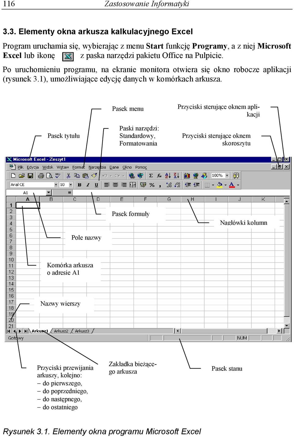 Po uruchomieniu programu, na ekranie monitora otwiera się okno robocze aplikacji (rysunek 3.1), umożliwiające edycję danych w komórkach arkusza.