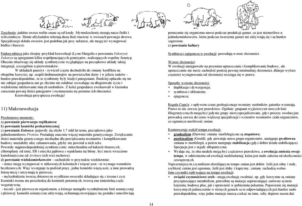 Endosymbioza jako skrajny przykład koewolucji (Lynn Margulis o powstaniu Eukarya): Eukarya są agregatami kilku współpracujących genotypów, realizujących wspólny fenotyp.